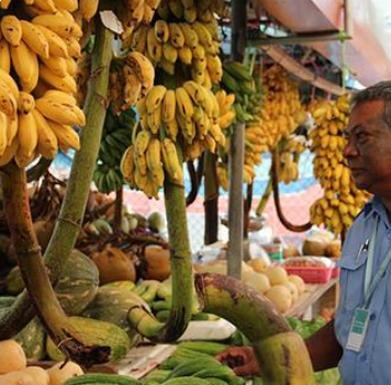 Uma alimentação saudável previne contra alguns tipos de câncer.